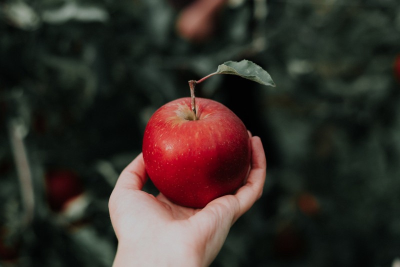 A photograph of an apple in someone&rsquo;s hand, as if ready to toss it in the air